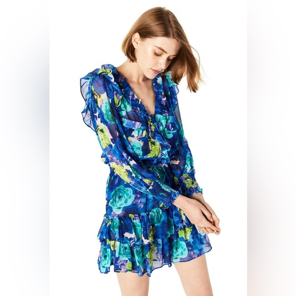 MISA - Zorina Mini Dress - Picture 1 of 8